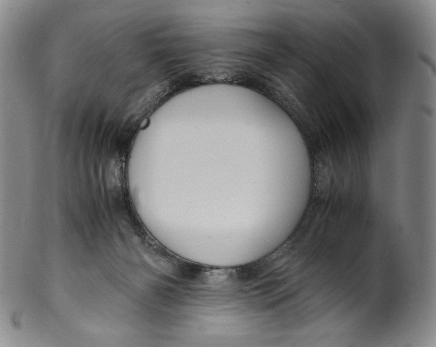 X0000100400126200806271429