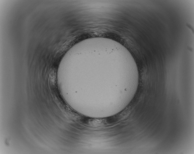 X0000100400129200806271429