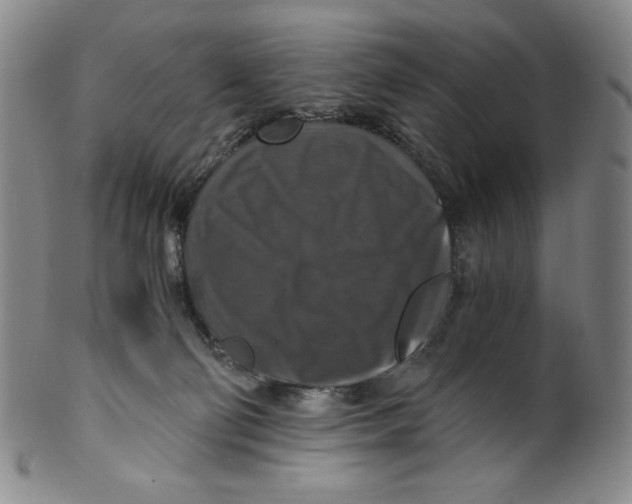 X0000100400130200806271429