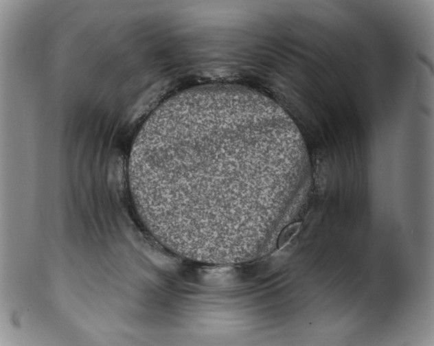X0000100400132200806271429