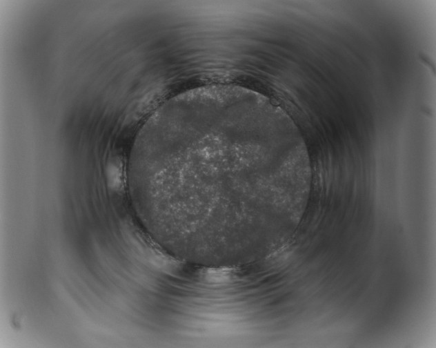 X0000100400134200806271429