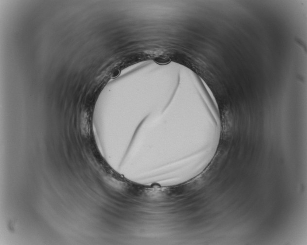 X0000100400136200806271429