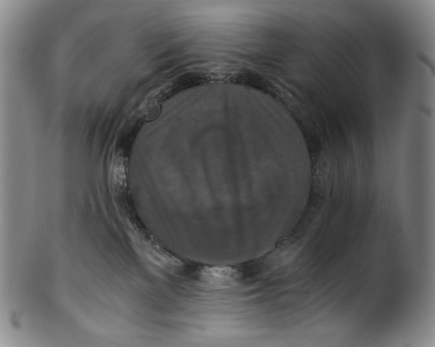 X0000100400137200806271429