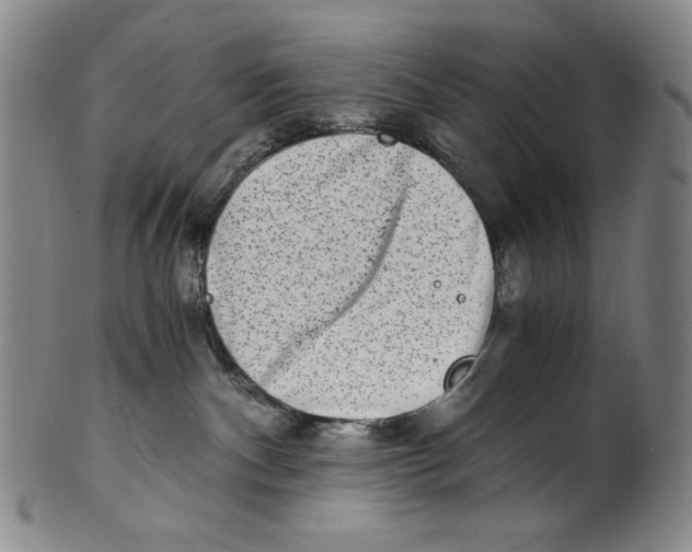 X0000100400140200806271429
