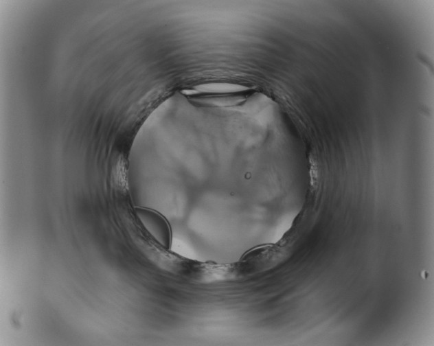 X0000100400143200806271429