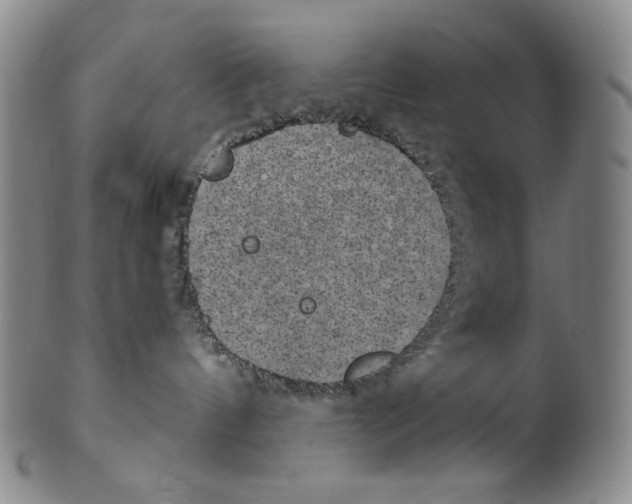 X0000100400144200806271429