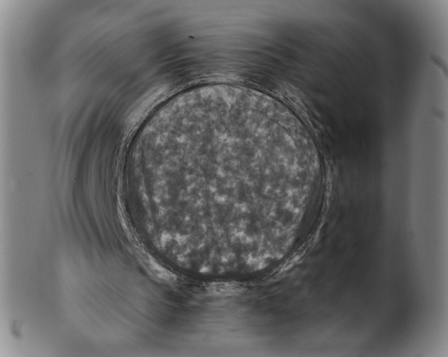 X0000100400145200806271428