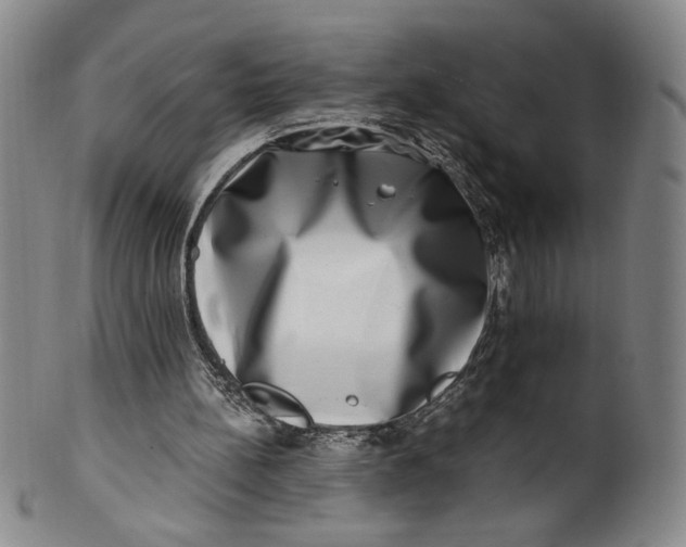 X0000100400148200806271428