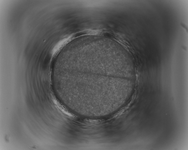 X0000100400149200806271428