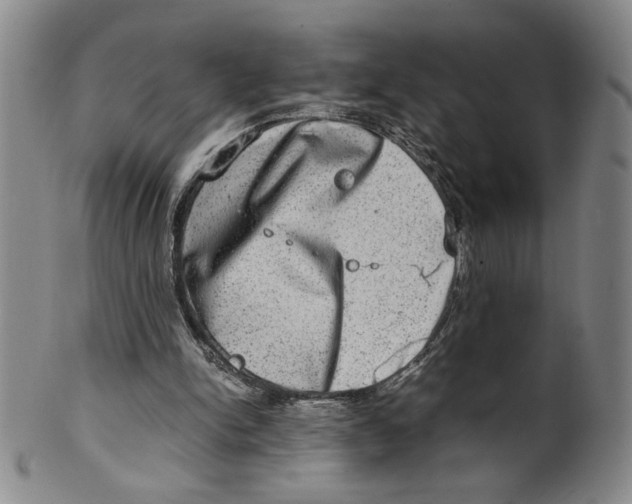 X0000100400150200806271428