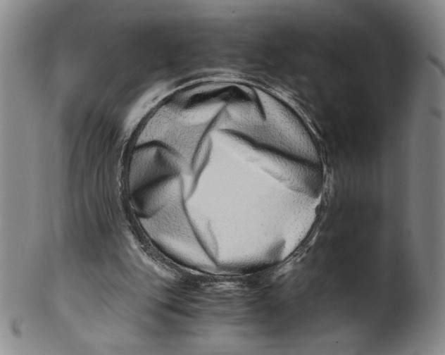 X0000100400151200806271428