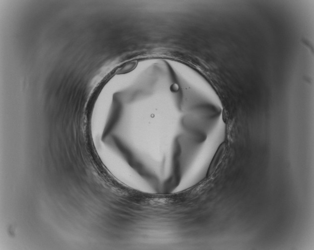 X0000100400152200806271428