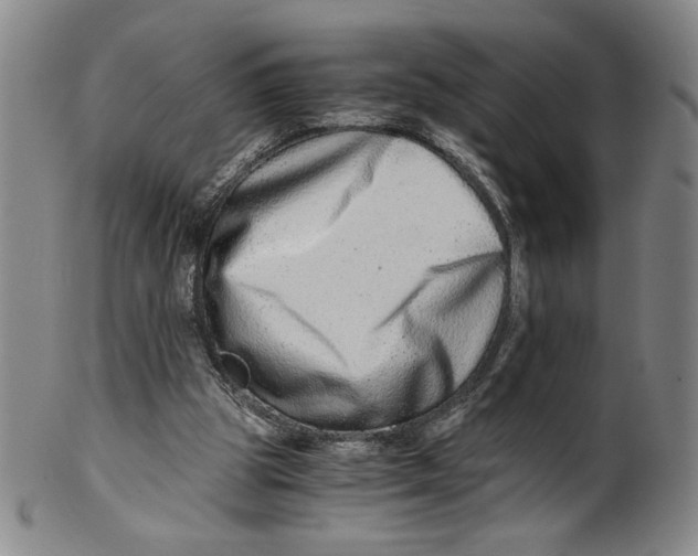 X0000100400153200806271428