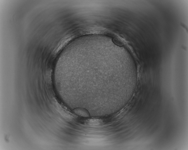 X0000100400154200806271428
