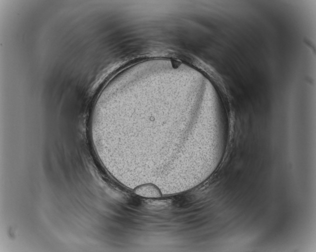 X0000100400155200806271428