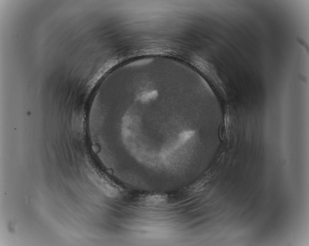 X0000100400156200806271428