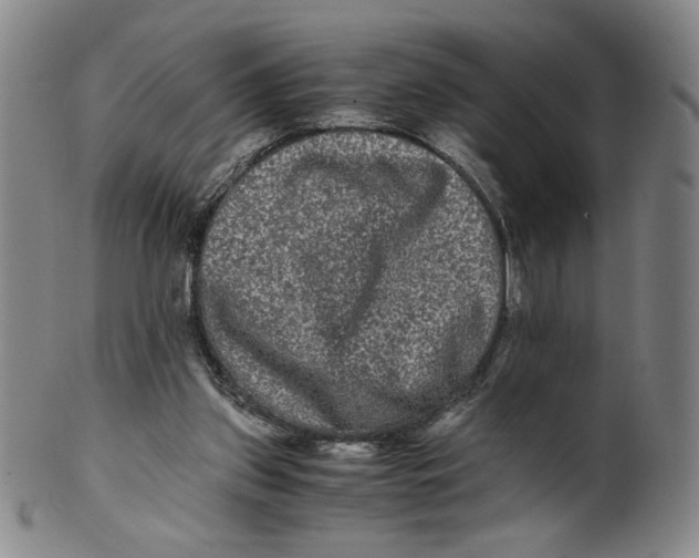 X0000100400157200806271428