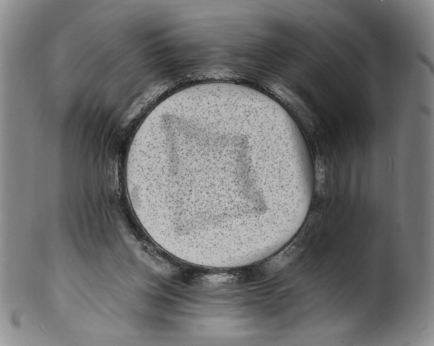 X0000100400158200806271429