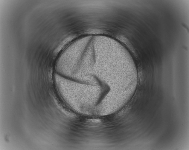 X0000100400159200806271429