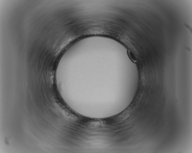 X0000100400160200806271429