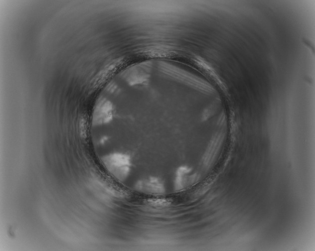X0000100400161200806271429