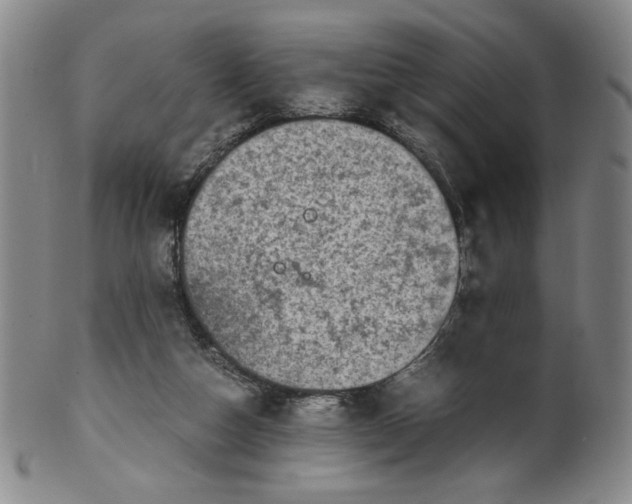 X0000100400162200806271429