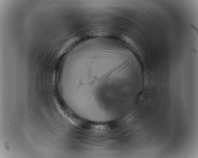 X0000100400163200806271429