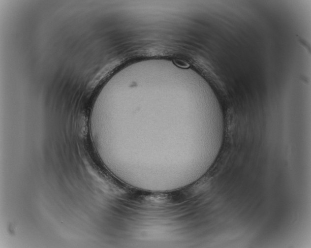 X0000100400164200806271429