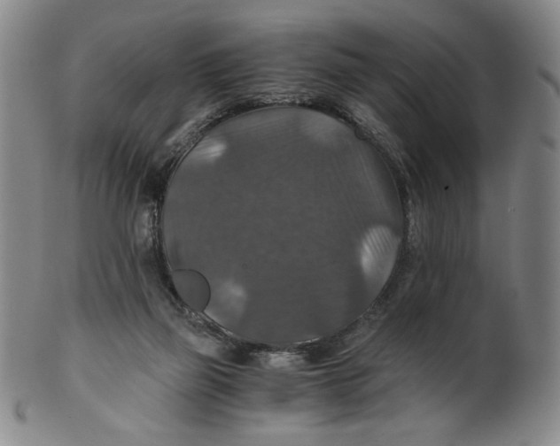 X0000100400165200806271429