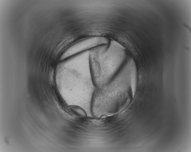 X0000100400166200806271429
