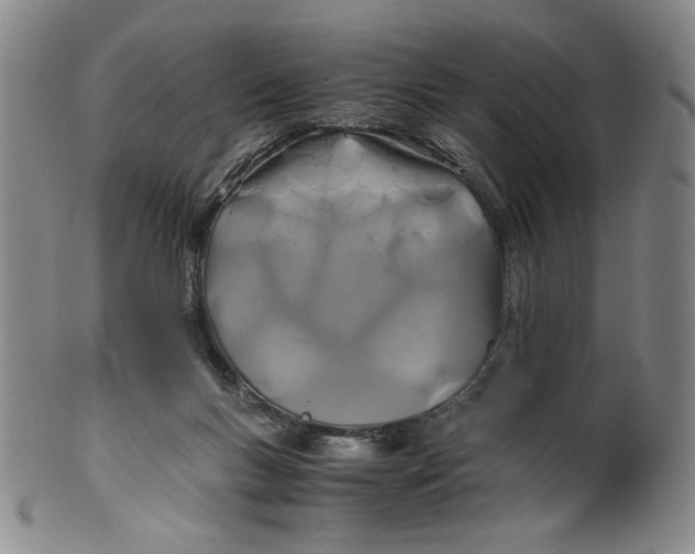 X0000100400167200806271429