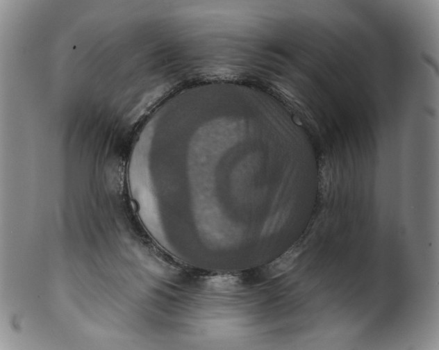 X0000100400168200806271429