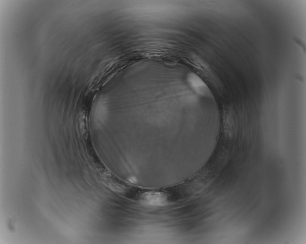 X0000100400169200806271429