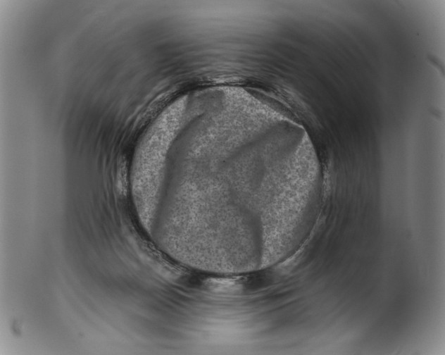 X0000100400170200806271429