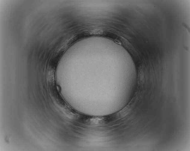 X0000100400172200806271429