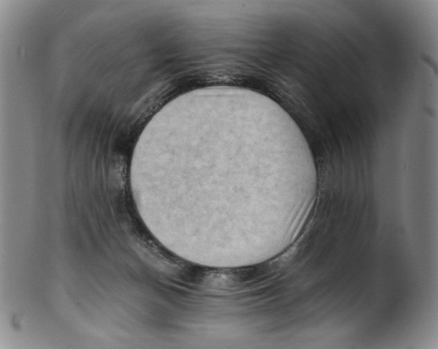 X0000100400174200806271429