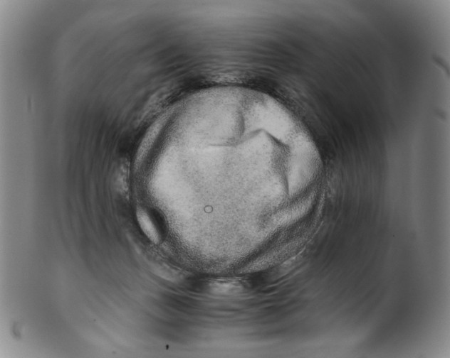 X0000100400175200806271429