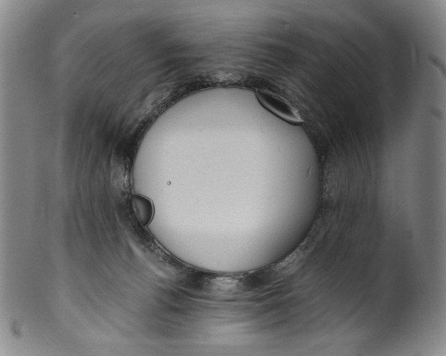 X0000100400176200806271429