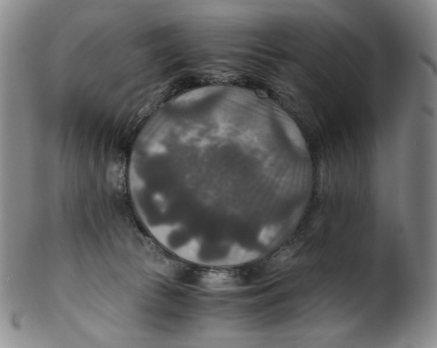 X0000100400177200806271429