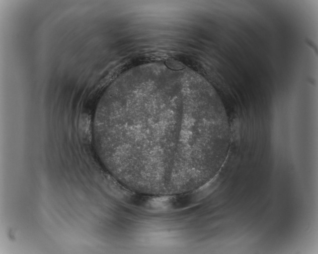 X0000100400178200806271429