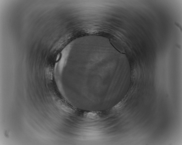 X0000100400180200806271429
