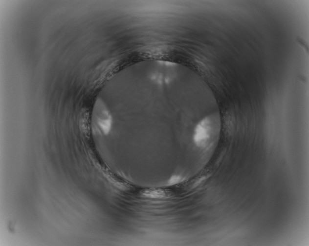 X0000100400181200806271429