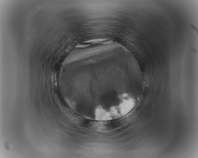 X0000100400182200806271429