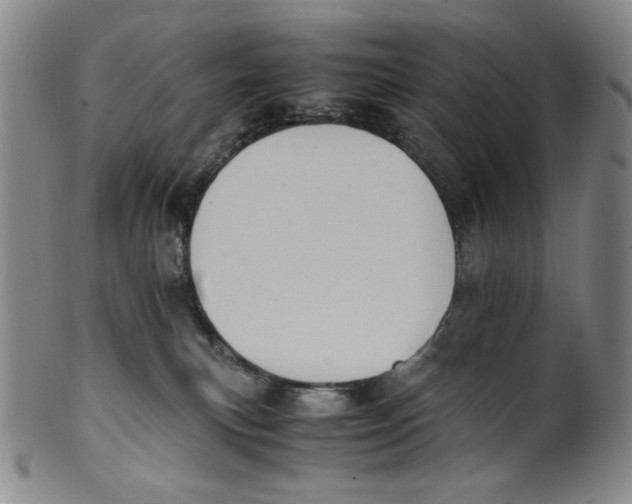 X0000100400183200806271429