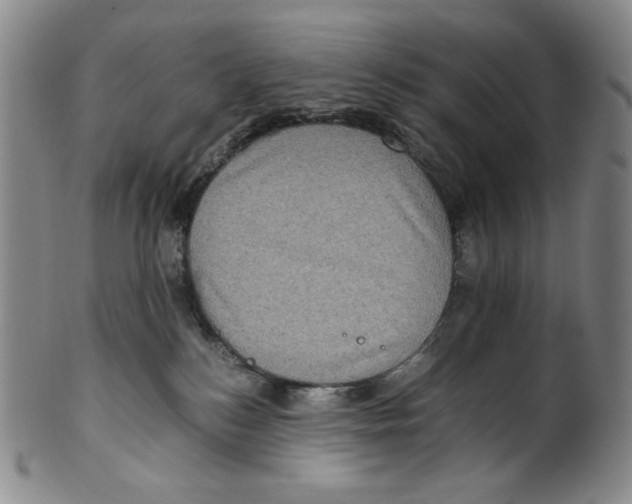X0000100400184200806271429