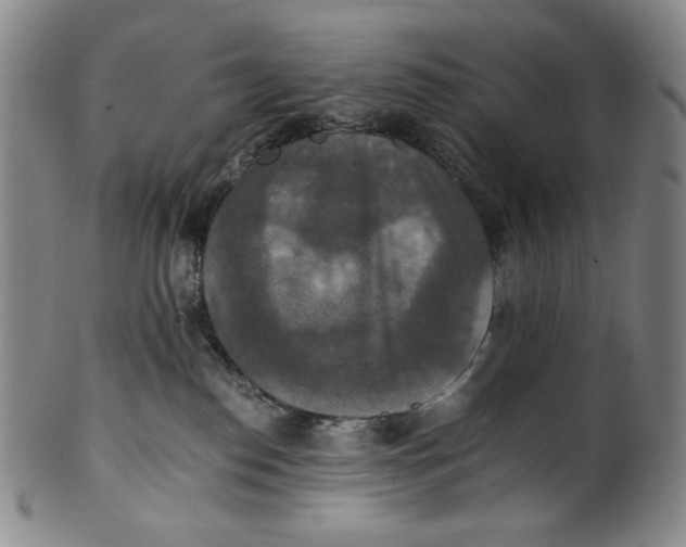X0000100400186200806271429