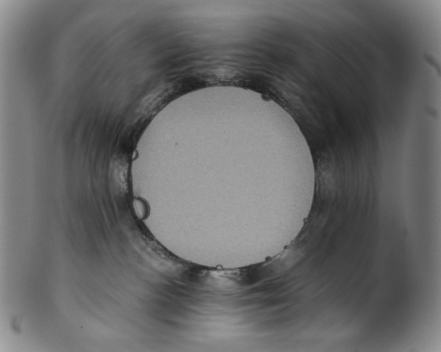 X0000100400188200806271429