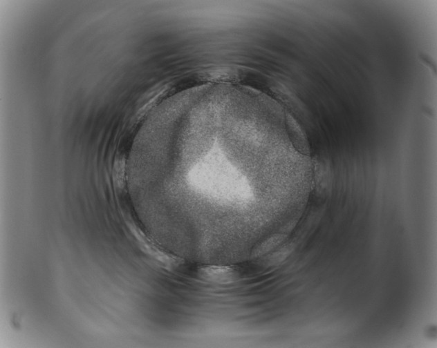 X0000100400189200806271429