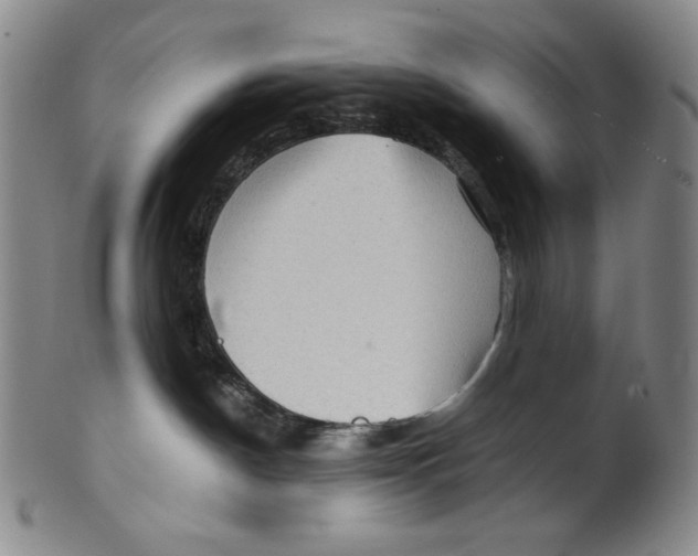X0000100400190200806271429