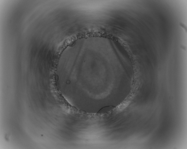 X0000100400192200806271429